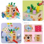 Montessori Multi Activity Kits