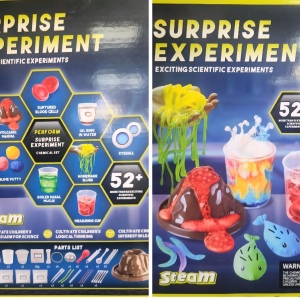 Surprise Experiment