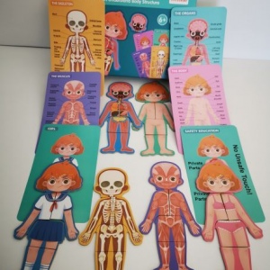 Body Structure Puzzle