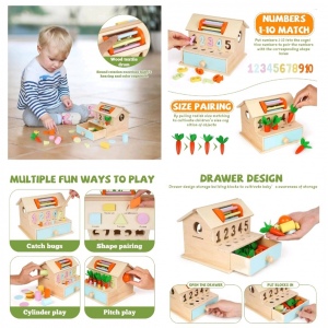 Multifunction House